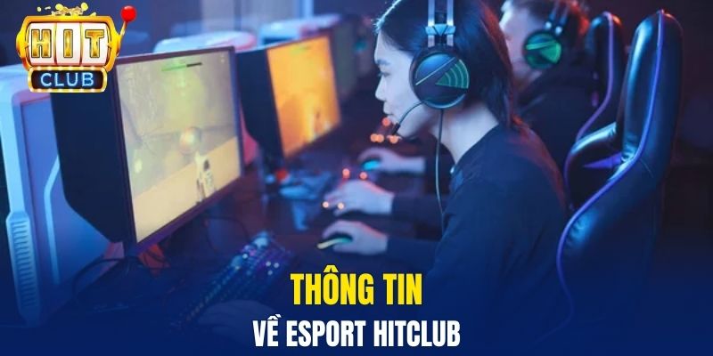 Esport Hitclub Và Sự Bùng Nổ Trải Nghiệm Giải Trí Mới Thông tin về Esport Hitclub